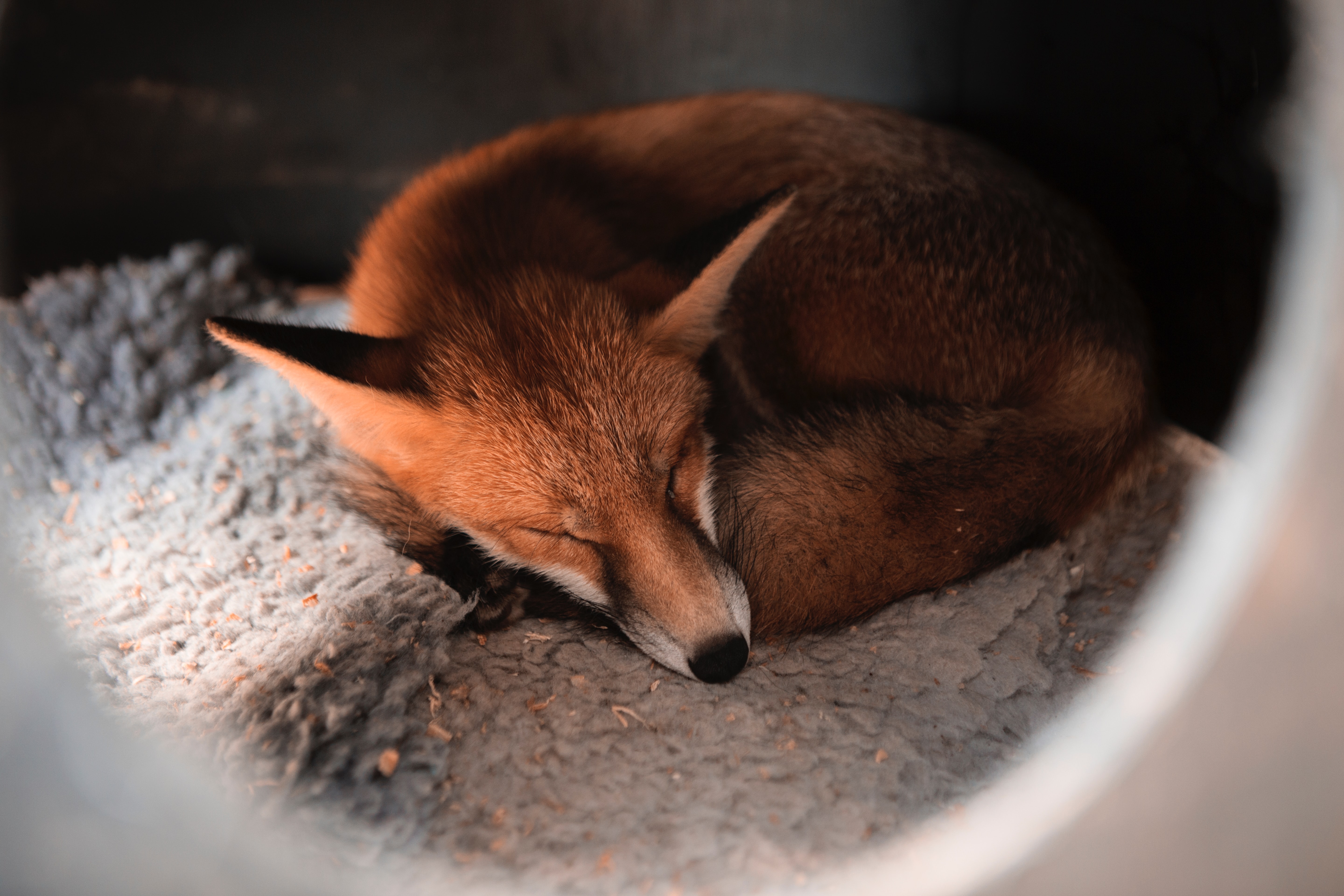 shush… don’t disturb yourself – Tracey Roberts